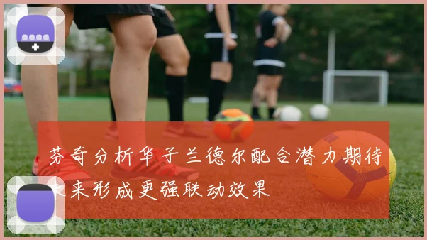 芬奇分析华子兰德尔配合潜力期待未来形成更强联动效果