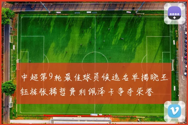 中超第9轮最佳球员候选名单揭晓王钰栋张稀哲费利佩泽卡争夺荣誉
