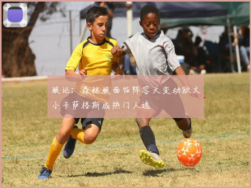 狼记：森林狼面临阵容大变动欧文小卡萨格斯成热门人选